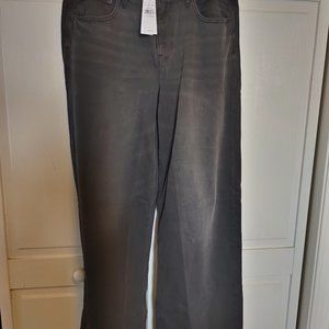AE JEANS Low-Rise Baggy Wide-Leg Jean NWT 12 Reg